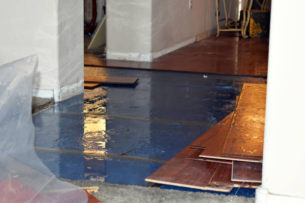 Professional Flood Damage Repair technician working in Lowell, IN